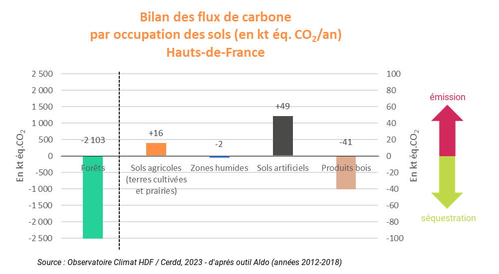 Bilan_flux_carbone