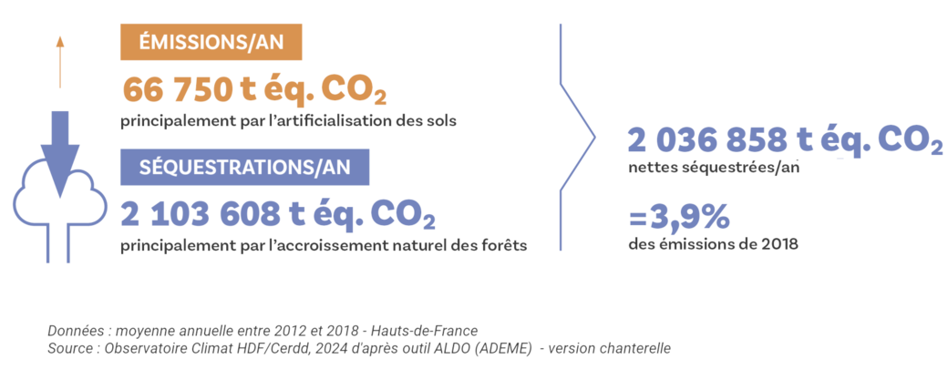 flux_carbone_infographie