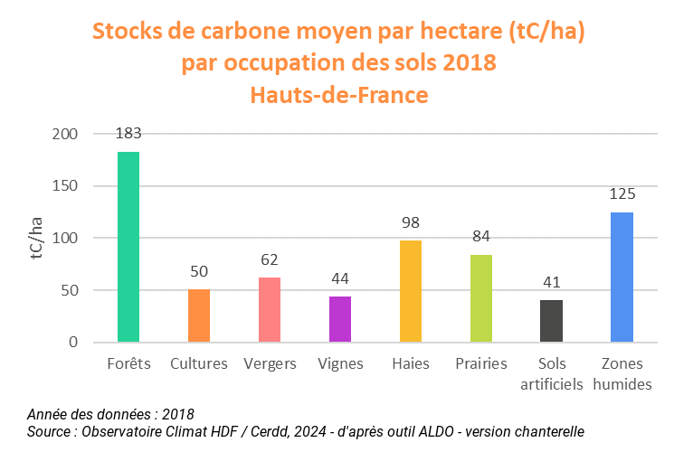 stock_par_hectare